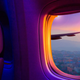 Imagen: Shutterstock